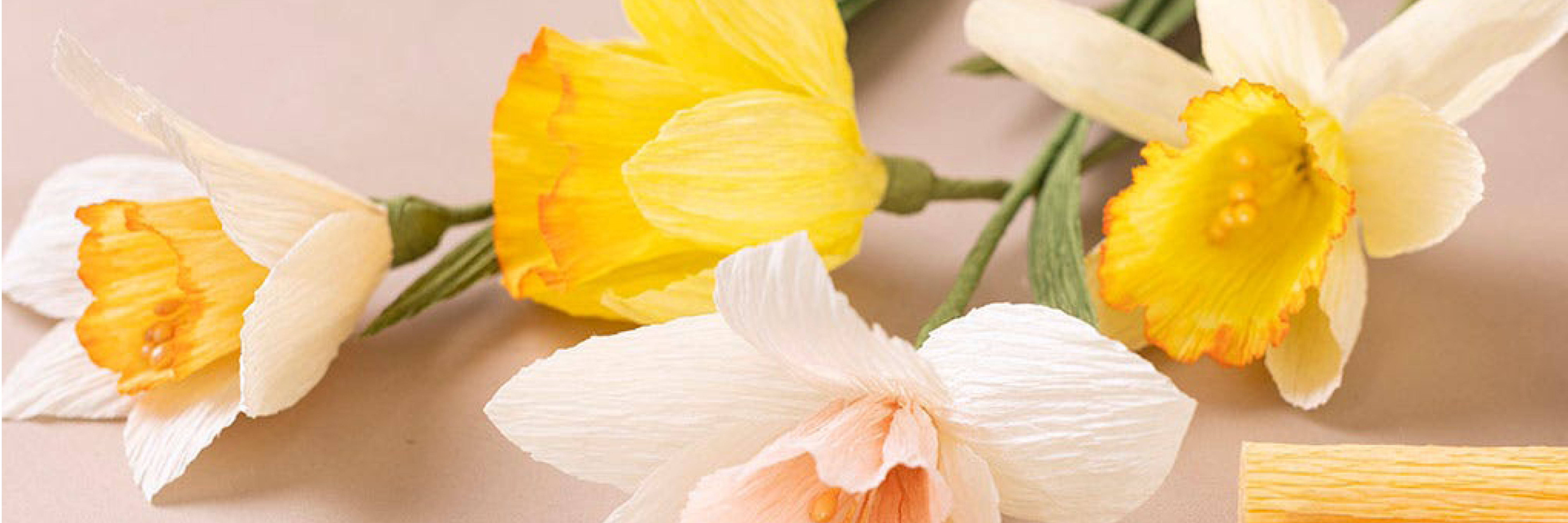 Kreppipaperista tehdyt narsissit