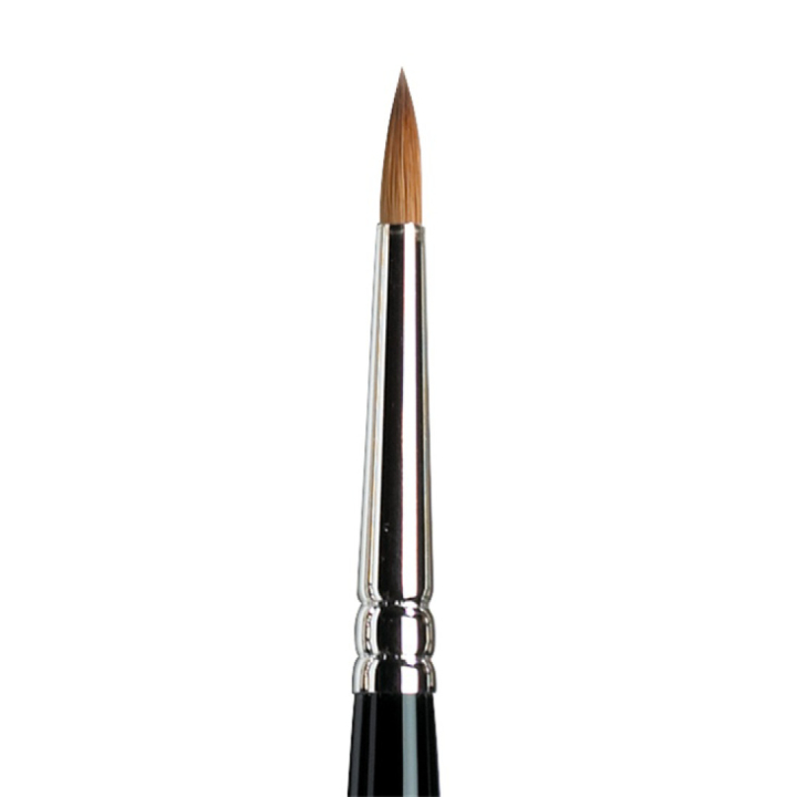 Serie 7 Kolinsky Näädänkarvasivellin Miniature Koko 4 ryhmässä Taiteilijatarvikkeet / Siveltimet / Akvarellisiveltimet @ Pen Store (107679)