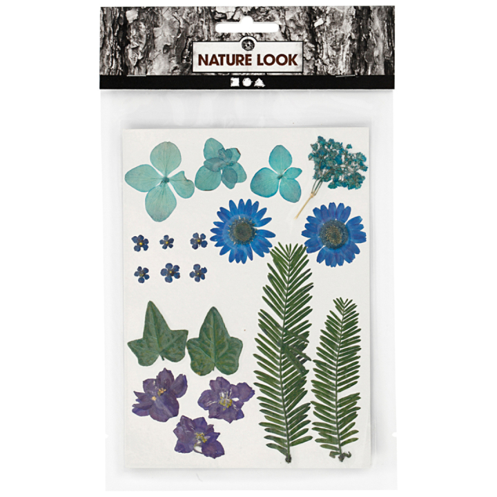 Kuivatut kukat ja lehdet Sininen ryhmässä Askartelu ja Harrastus / Tekniikat / Scrapbooking @ Pen Store (130762)