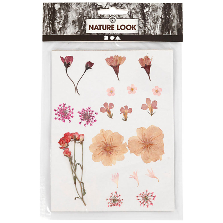 Kuivatut kukat ja lehdet Pinkki ryhmässä Askartelu ja Harrastus / Tekniikat / Scrapbooking @ Pen Store (130763)