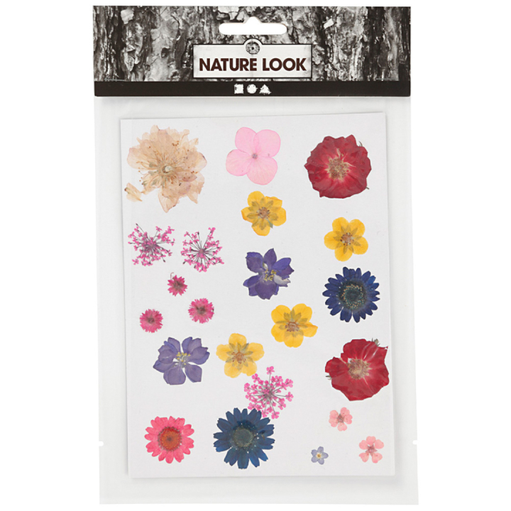 Kuivatut kukat ja lehdet Sekoitettuja värejä ryhmässä Askartelu ja Harrastus / Tekniikat / Scrapbooking @ Pen Store (130767)