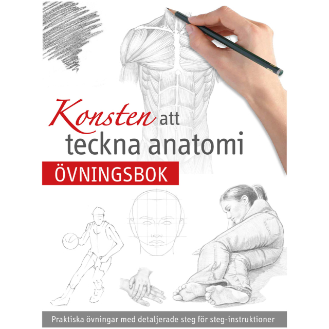 Anatomian Piirtämisen Taide