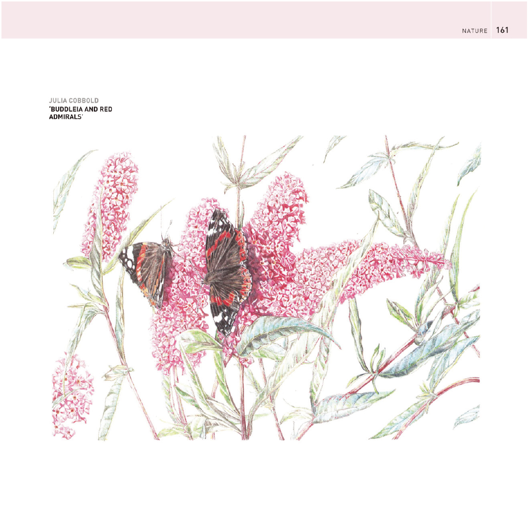 The Encyclopedia of Coloured Pencil Techniques