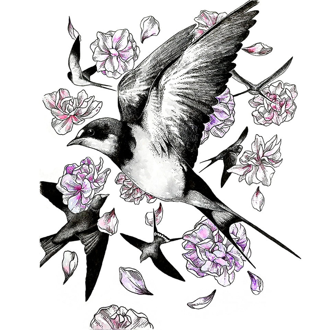 Illustration Akvarellisetti