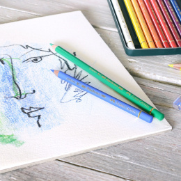 Polychromos Kappaleittain ryhmässä Kynät / Taiteilijakynät / Värikynät @ Pen Store (105856_r)