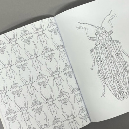 Wonderful Insects ryhmässä Askartelu ja Harrastus / Kirjat / Aikuisten värityskirjat @ Pen Store (125501)