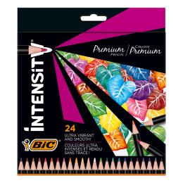 Intensity Premium Värikynät 24 kpl ryhmässä Kynät / Taiteilijakynät / Värikynät @ Pen Store (126948)