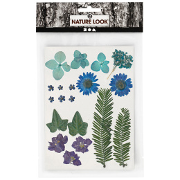 Kuivatut kukat ja lehdet Sininen ryhmässä Askartelu ja Harrastus / Tekniikat / Scrapbooking @ Pen Store (130762)