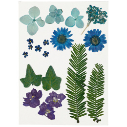 Kuivatut kukat ja lehdet Sininen ryhmässä Askartelu ja Harrastus / Askartelu / Scrapbooking @ Pen Store (130762)