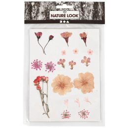 Kuivatut kukat ja lehdet Pinkki ryhmässä Askartelu ja Harrastus / Tekniikat / Scrapbooking @ Pen Store (130763)