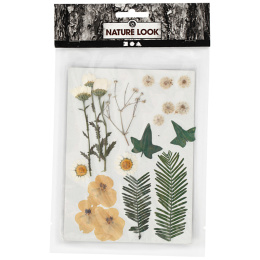 Kuivatut kukat ja lehdet Raakavalkoinen ryhmässä Askartelu ja Harrastus / Tekniikat / Scrapbooking @ Pen Store (130765)