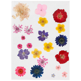Kuivatut kukat ja lehdet Sekoitettuja värejä ryhmässä Askartelu ja Harrastus / Askartelu / Scrapbooking @ Pen Store (130767)