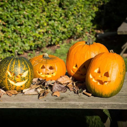 Kurpitsankaiverrussetti 5 osaa + mallit ryhmässä Askartelu ja Harrastus / Lomat ja vuodenajat / Halloween @ Pen Store (132630)