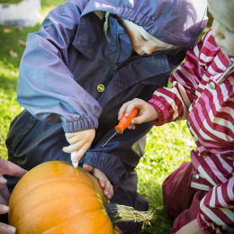 Kurpitsankaiverrussetti 5 osaa + mallit ryhmässä Askartelu ja Harrastus / Lomat ja vuodenajat / Halloween @ Pen Store (132630)