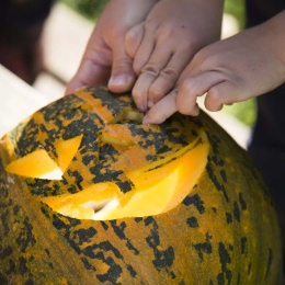 Kurpitsankaiverrussetti 5 osaa + mallit ryhmässä Askartelu ja Harrastus / Lomat ja vuodenajat / Halloween @ Pen Store (132630)