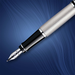 Expert Steel Täytekynä Medium ryhmässä Kynät / Fine Writing / Täytekynät @ Pen Store (135462)