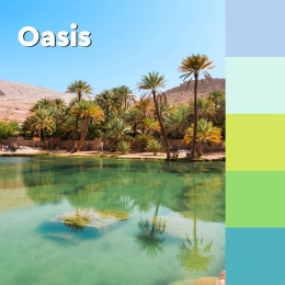 Post-it Super Sticky 76x76 Värisekoitus Oasis 5-pakkaus ryhmässä Paperit ja Lehtiöt / Kirjoitus ja muistiinpanot / Post-it ja muistilaput @ Pen Store (135718)