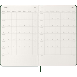 Kalenteri 12M Daily 2026 Hardcover Large Myrtle Green ryhmässä Paperit ja Lehtiöt / Kalenterit / 12 kk kalenterit @ Pen Store (136083)