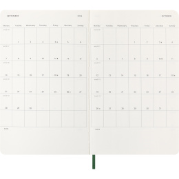 Kalenteri 12M Daily 2026 Softcover Large Myrtle Green ryhmässä Paperit ja Lehtiöt / Kalenterit / 12 kk kalenterit @ Pen Store (136088)