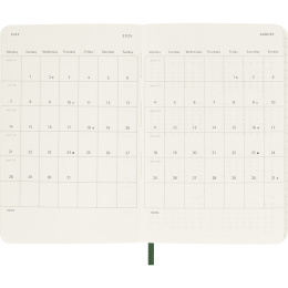 Kalenteri 12M Daily 2026 Softcover Pocket Myrtle Green ryhmässä Paperit ja Lehtiöt / Kalenterit / 12 kk kalenterit @ Pen Store (136089) Kalenteri 12M Daily 2026 Softcover Pocket Myrtle Green ryhmässä Paperit ja Lehtiöt / Kalenterit / 12 kk kalenterit @ Pen Store (136089)