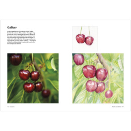 How to Draw a Tree: from the Fruit to the Forest ryhmässä Askartelu ja Harrastus / Kirjat / Ohjekirjat @ Pen Store (136291)