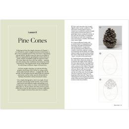 How to Draw a Tree: from the Fruit to the Forest ryhmässä Askartelu ja Harrastus / Kirjat / Ohjekirjat @ Pen Store (136291)