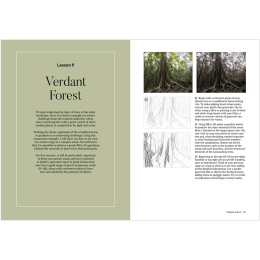 How to Draw a Tree: from the Fruit to the Forest ryhmässä Askartelu ja Harrastus / Kirjat / Ohjekirjat @ Pen Store (136291)