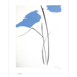 The Art of Sumi-e ryhmässä Askartelu ja Harrastus / Kirjat / Inspiraatiokirjat @ Pen Store (136293)