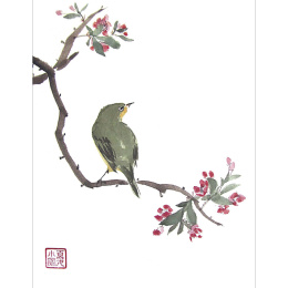 The Art of Sumi-e ryhmässä Askartelu ja Harrastus / Kirjat / Inspiraatiokirjat @ Pen Store (136293)