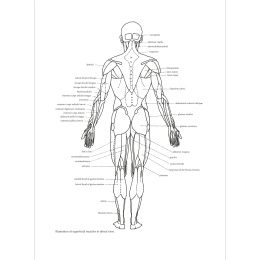 Figure Drawing: A Complete Guide ryhmässä Askartelu ja Harrastus / Kirjat / Ohjekirjat @ Pen Store (136294)