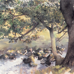 The Watercolour Artist's Bible ryhmässä Askartelu ja Harrastus / Kirjat / Ohjekirjat @ Pen Store (136295)