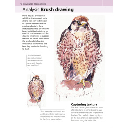 The Watercolour Artist's Bible ryhmässä Askartelu ja Harrastus / Kirjat / Ohjekirjat @ Pen Store (136295)