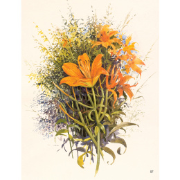 The Art of Gouache ryhmässä Askartelu ja Harrastus / Kirjat / Ohjekirjat @ Pen Store (136297)