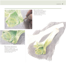 The Encyclopedia of Coloured Pencil Techniques ryhmässä Askartelu ja Harrastus / Kirjat / Ohjekirjat @ Pen Store (136298)