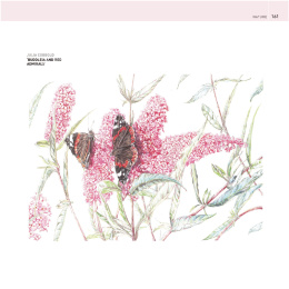 The Encyclopedia of Coloured Pencil Techniques ryhmässä Askartelu ja Harrastus / Kirjat / Ohjekirjat @ Pen Store (136298)