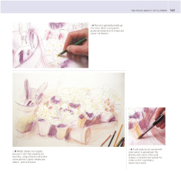 The Encyclopedia of Coloured Pencil Techniques ryhmässä Askartelu ja Harrastus / Kirjat / Ohjekirjat @ Pen Store (136298)