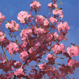 Plein Air Painting with Oils ryhmässä Askartelu ja Harrastus / Kirjat / Ohjekirjat @ Pen Store (136306)