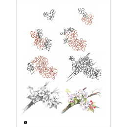 Draw 100: Flowers ryhmässä Askartelu ja Harrastus / Kirjat / Inspiraatiokirjat @ Pen Store (136315)