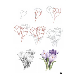 Draw 100: Flowers ryhmässä Askartelu ja Harrastus / Kirjat / Inspiraatiokirjat @ Pen Store (136315)