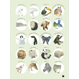 Draw 100: Animals ryhmässä Askartelu ja Harrastus / Kirjat / Inspiraatiokirjat @ Pen Store (136316)