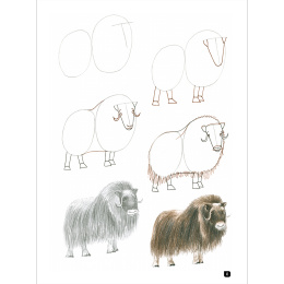 Draw 100: Animals ryhmässä Askartelu ja Harrastus / Kirjat / Inspiraatiokirjat @ Pen Store (136316)