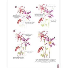 Paint 50: Watercolour Flowers ryhmässä Askartelu ja Harrastus / Kirjat / Ohjekirjat @ Pen Store (136318)