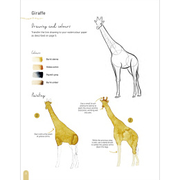 Paint 50: Watercolour Animals ryhmässä Askartelu ja Harrastus / Kirjat / Ohjekirjat @ Pen Store (136319)