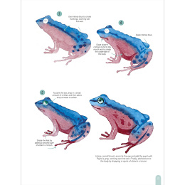 Paint 50: Watercolour Animals ryhmässä Askartelu ja Harrastus / Kirjat / Ohjekirjat @ Pen Store (136319)