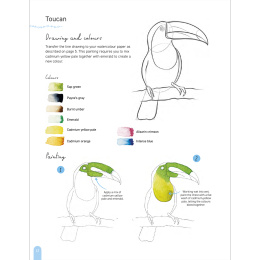 Paint 50: Watercolour Animals ryhmässä Askartelu ja Harrastus / Kirjat / Ohjekirjat @ Pen Store (136319)