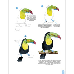 Paint 50: Watercolour Animals ryhmässä Askartelu ja Harrastus / Kirjat / Ohjekirjat @ Pen Store (136319)