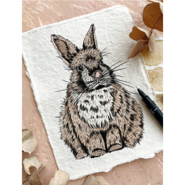 The Kew Book of Drawing Flora and Fauna ryhmässä Askartelu ja Harrastus / Kirjat / Ohjekirjat @ Pen Store (136328)