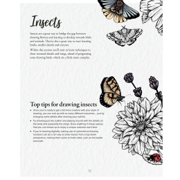 The Kew Book of Drawing Flora and Fauna ryhmässä Askartelu ja Harrastus / Kirjat / Ohjekirjat @ Pen Store (136328)