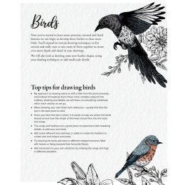 The Kew Book of Drawing Flora and Fauna ryhmässä Askartelu ja Harrastus / Kirjat / Ohjekirjat @ Pen Store (136328)