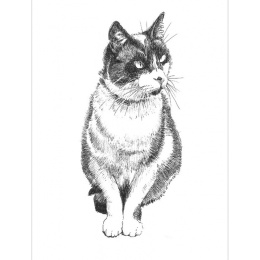 Pen and Ink Drawing Techniques ryhmässä Askartelu ja Harrastus / Kirjat / Inspiraatiokirjat @ Pen Store (136330)